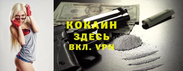 ешки Бородино