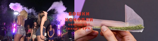 ешки Бородино