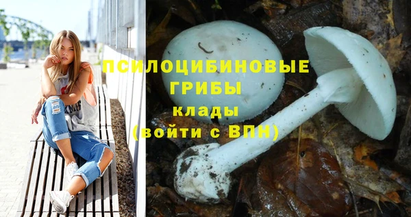 ешки Бородино