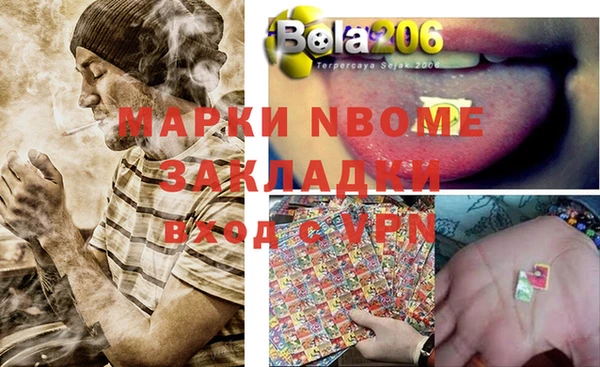 ешки Бородино