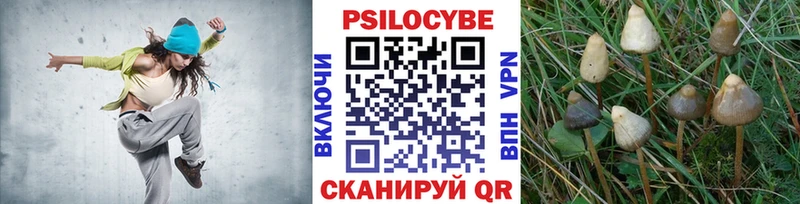 Псилоцибиновые грибы GOLDEN TEACHER  Иннополис 